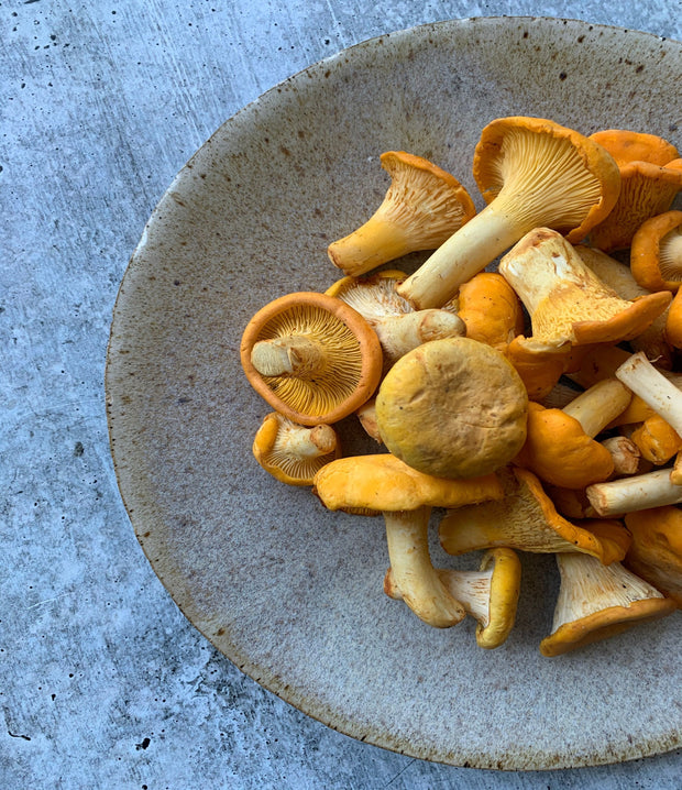 Best Saskatchewan Apricot Chanterelles photos by Regalis Foods - item 3