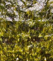 Badasoop Roasted Laver Seaweed, Unseasoned