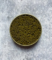 Large Grain Golden Kaluga Caviar