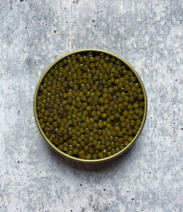Best Large Grain Golden Kaluga Caviar photos by Regalis Foods - item 2