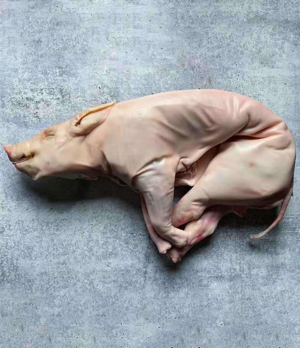 Best Cochinillo - Segovian Suckling Pig (10lb) average size photos by Regalis Foods - item 2