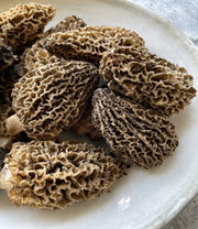 Wild Pacific Northwest Morels