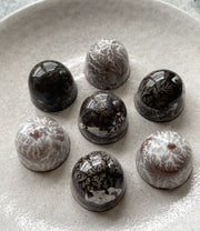 Regalis White & Black Truffle Chocolate Bonbons (Set of 12)