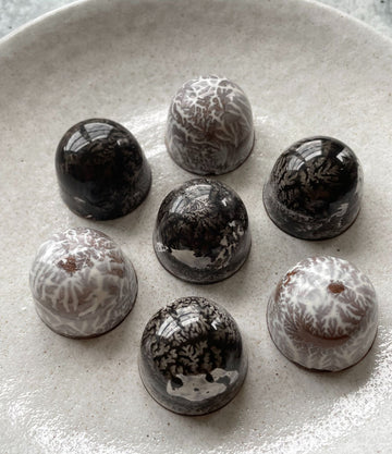 Best Regalis White & Black Truffle Chocolate Bonbons (Set of 12) photos by Regalis Foods - item 1